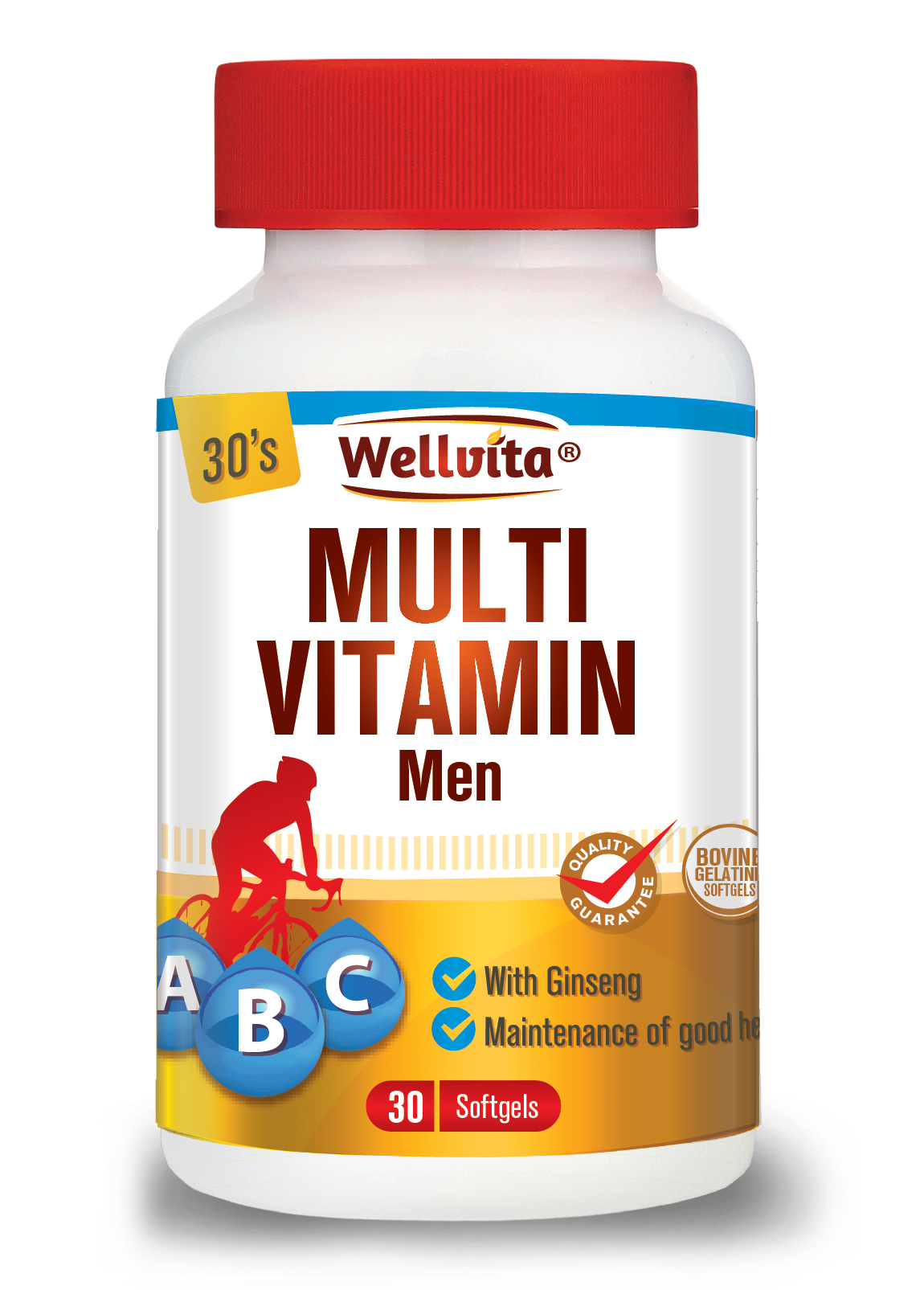 Wellvita Multivitamin Men