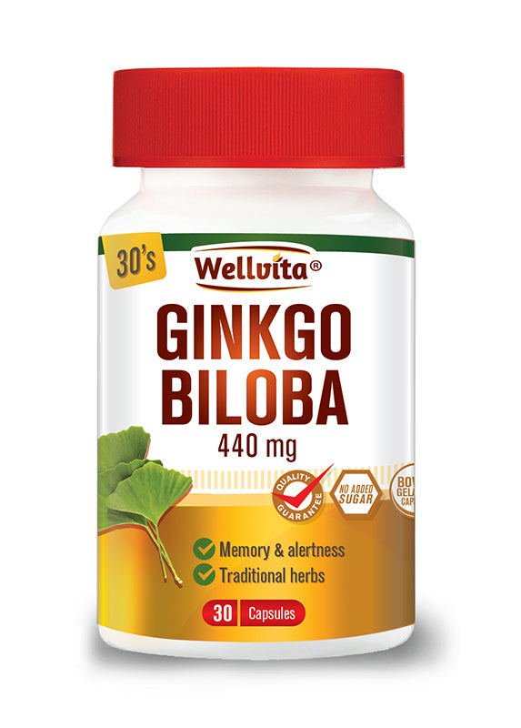 Wellvita Ginkgo Biloba