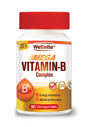 Wellvita Vitamin B Complex